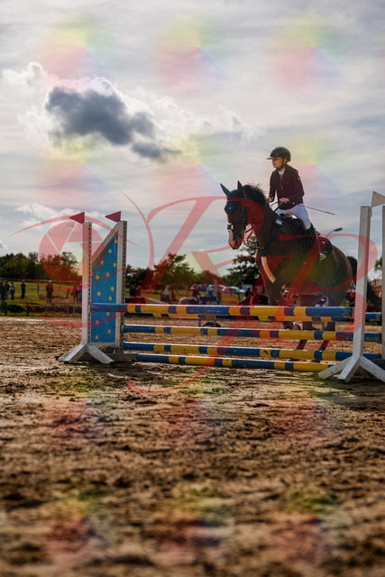 2026_10_03_Siefer-Hof_154630_Z63_09902356 | Professionelle Reitsport-, Turnier- und Eventfotografie von Robert Broda. Galerien mit ausgewählten und bearbeiteten Bildern direkt online ansehen und bestellen.