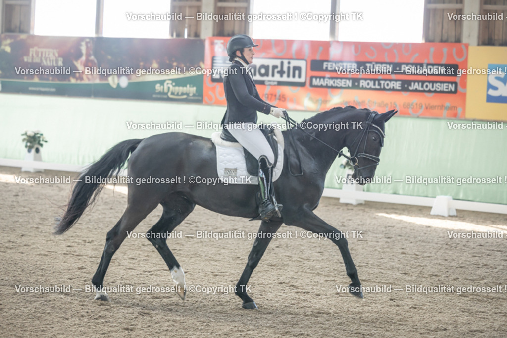 _D5A0542 | Emotionale Pferde- & People-Fotografie rund um Heidelberg, Leimen & Umgebung. Natürliche Fotos von Pferd, Mensch & Familie. Jetzt Termin sichern!