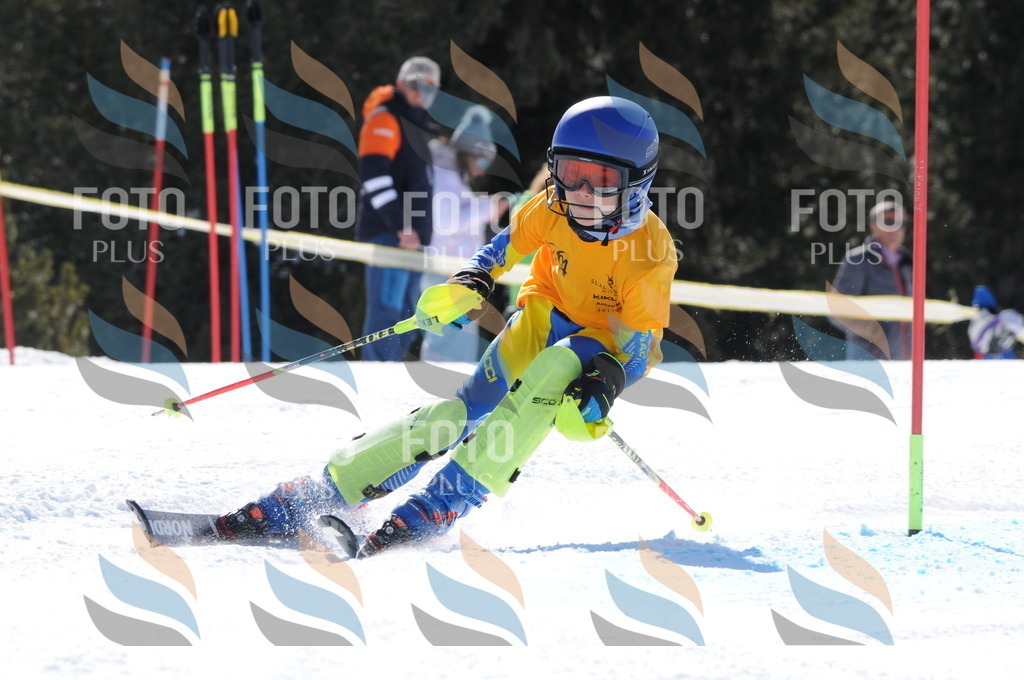 C8942 | holidayphoto