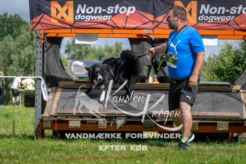 1134_ZZ92489 | kk-dogfotos