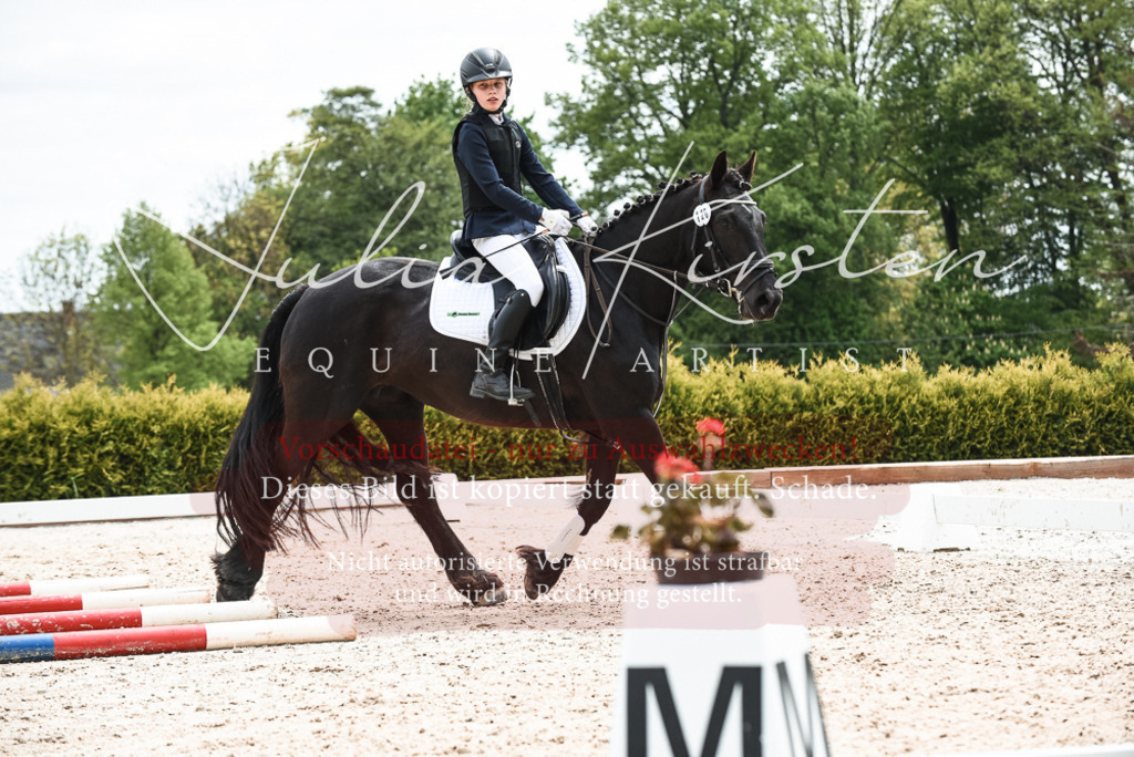 20230518_JK-Röhrsdorf-10-743 | Pferde- und Turnierfotografie in Westsachsen. Pferdeportraits, Auftragszeichnungen und intuitive Kunst.
