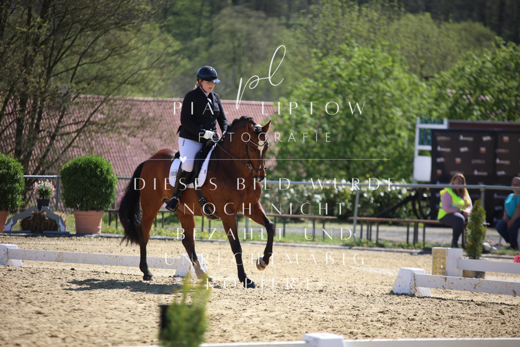 IMGT7827 | pl-fotografie