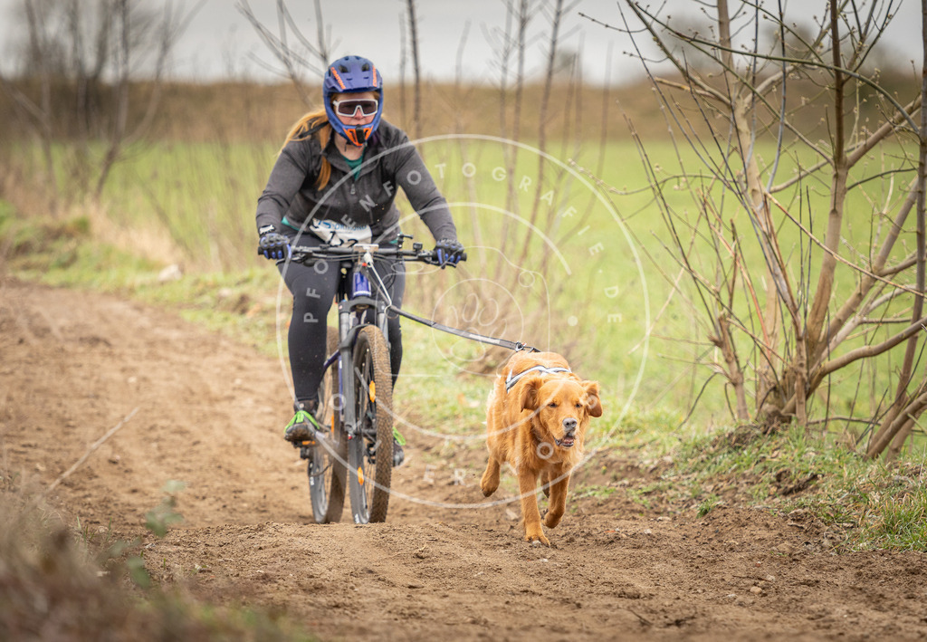 DV3A0981 | Hundefotografie, Tierfotograf, Pfotenfotografie, Fotoshooting Hund, Hunde Portrait, Hundesport, Hundeportraits, Heideshooting, Hunde, Sportfotograf, Hundefotograf, Turnierhundsport, THS,  - Realisiert mit Pictrs.com