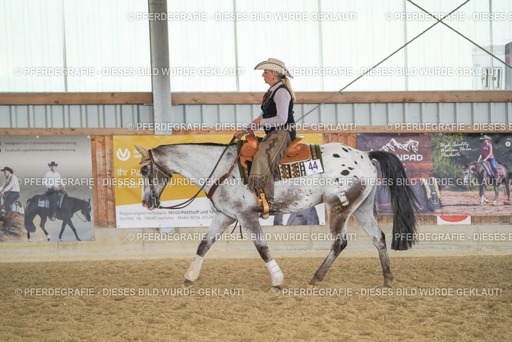 DSC01929 | Pferdegrafie