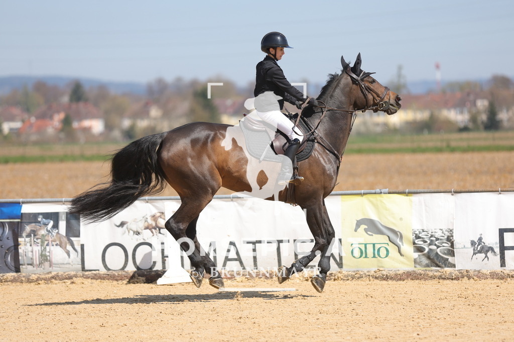 0P6A9791 | Willkommen bei Brunnmayr - Design & Fotografie – Ihrem Spezialisten für Reitturniere und Pferdeveranstaltungen in Oberösterreich, Salzburg und Bayern! Seit über 17 Jahren sind wir leidenschaftlich dabei.