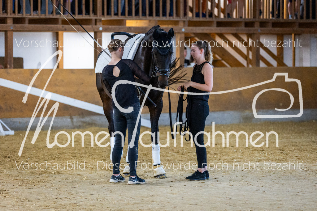 GS-NS-053 | MomenTaufnahmen Pferdesportfotos