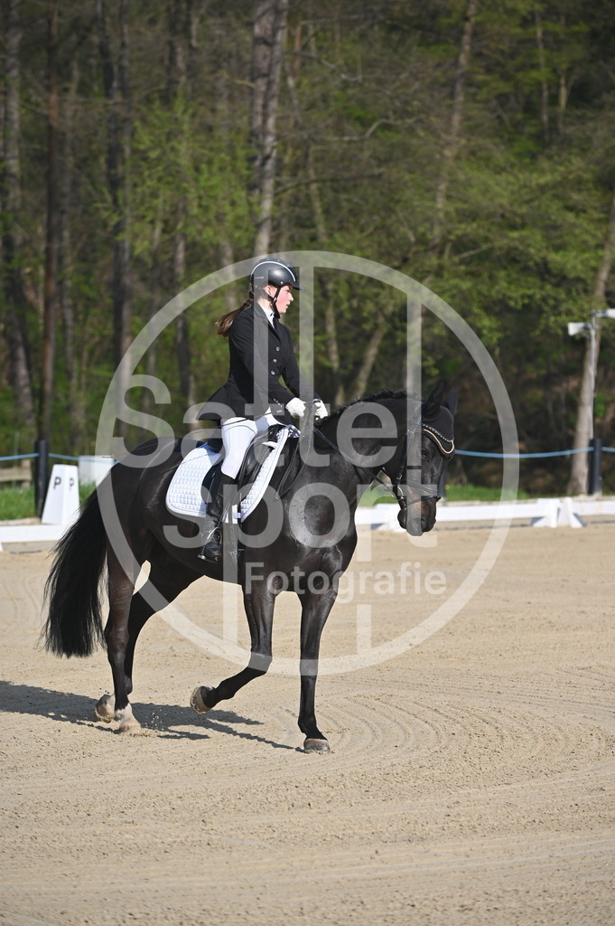 DSC_9942 | sattelsport - Realisiert mit Pictrs.com