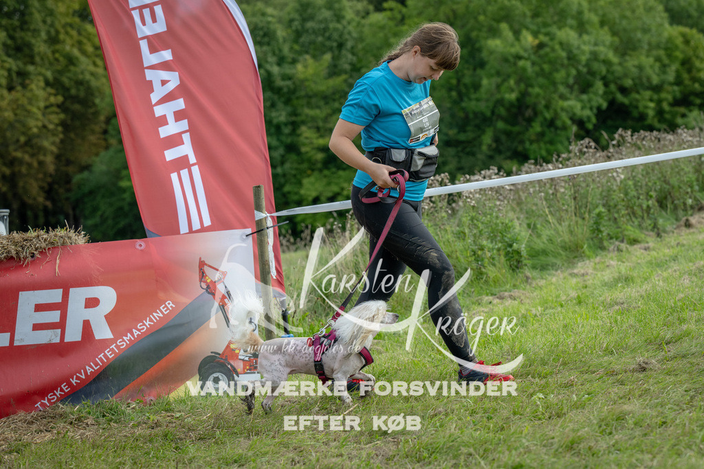 1154_ZZ90791 | kk-dogfotos