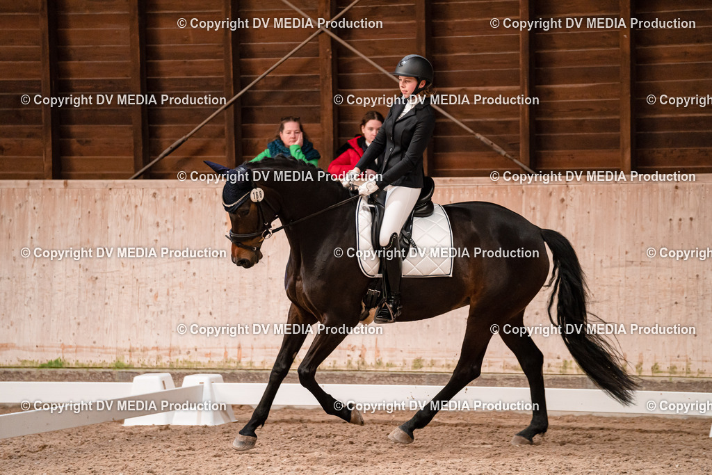 Dressur Tag 2-183 | dv-media-shop - Realisiert mit Pictrs.com