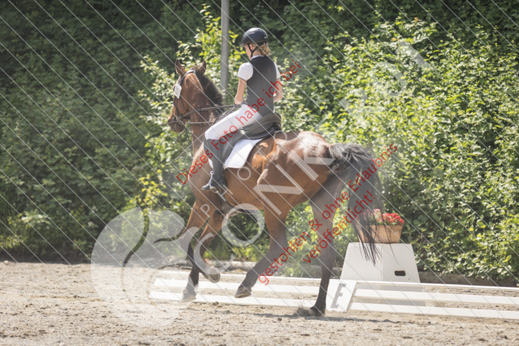 IMG_4655 | Sport-, Event- und Tierfotos in Profiqualität. Einfach auswählen, bestellen und herunterladen. Dein Moment – perfekt festgehalten.