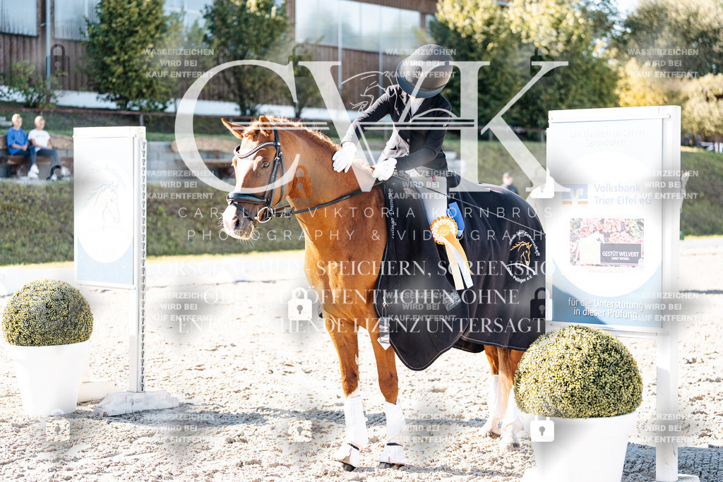 CK908477 | Turnierfotografie Pferdefotografie Trier Rheinland-Pfalz Pferdesport Reitsport Tierfotografie Sportfotografie Pferdevideo Pferdevideografie Equestrianvideography equestrianphotography  - Realisiert mit Pictrs.com