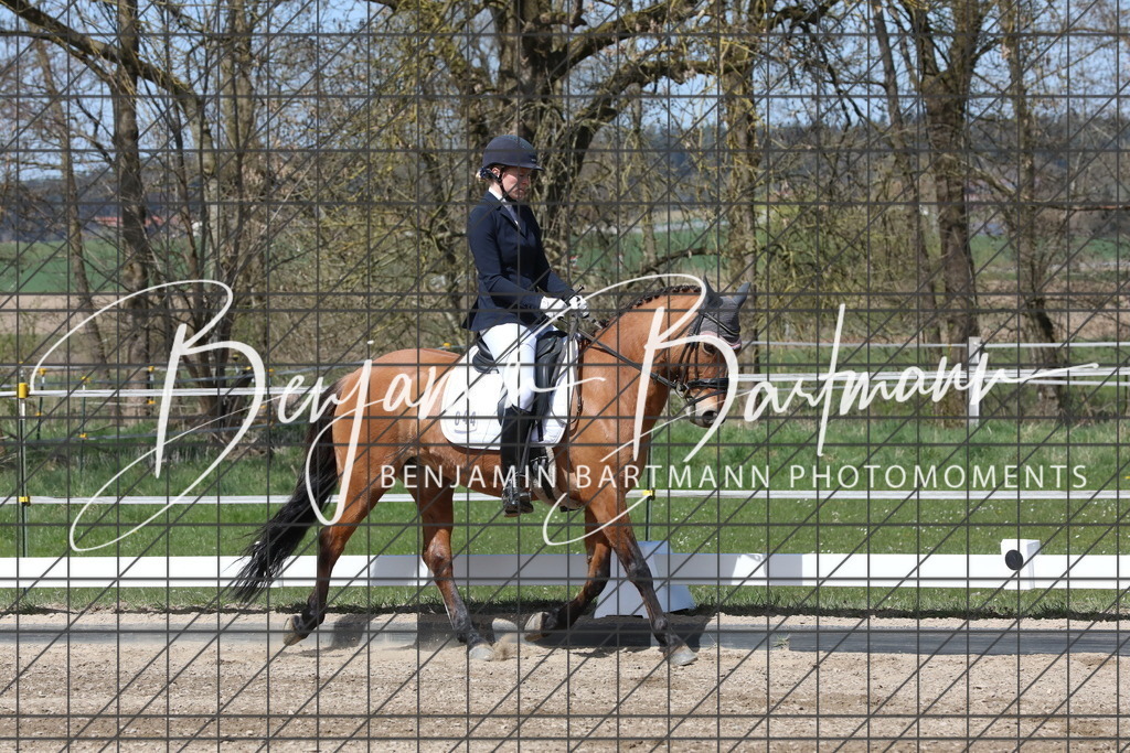 AZ2A3972 | Benjamin Bartmann Photomoments