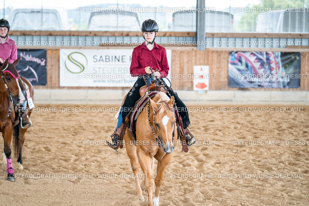 DSC01416 | Pferdegrafie