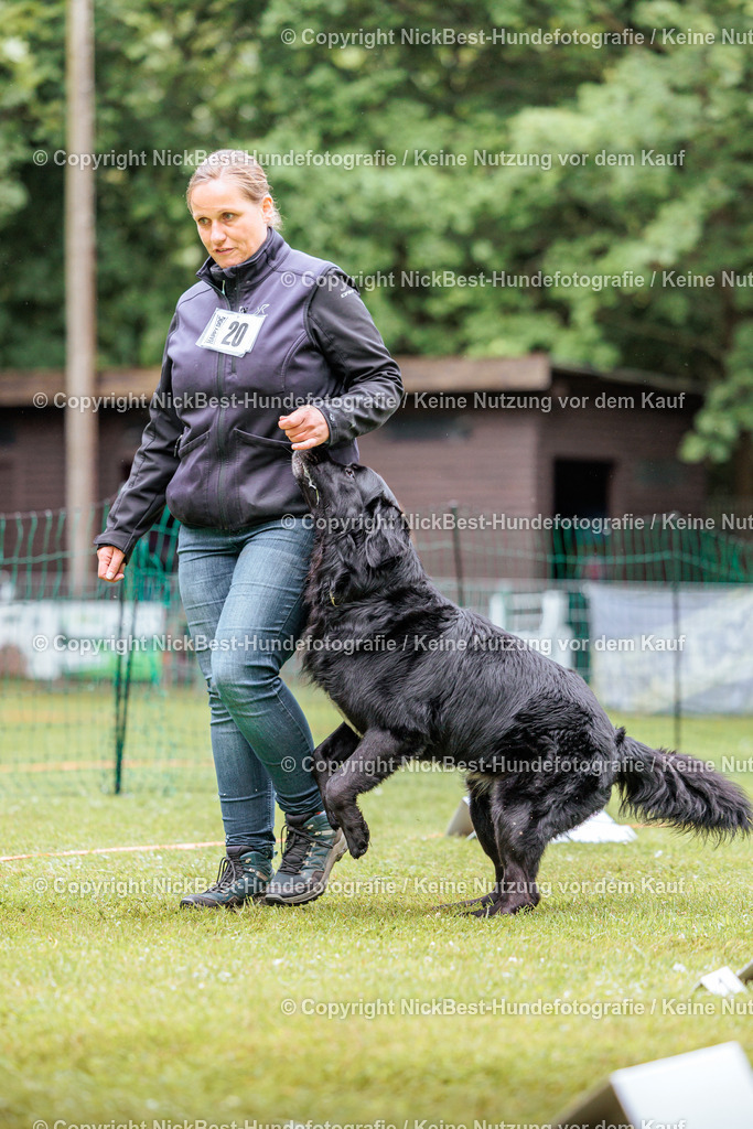 RO-Blumenthal-2026-Nickbest-Hundefotografie-4653 | Dein Hund! Dein Moment! Deine Erinnerungen! Hundefotografie in Bremen Blumenthal. Ich fange die besonderen Momente deines Vierbeiners ein – ob Indoor mit Blitzanlage oder in der freien Natur. Sicher dir dein Moment und dein Termin für eure Erinnerungen.