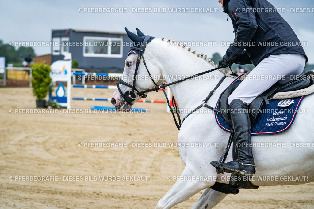 DSC03461 | Pferdegrafie