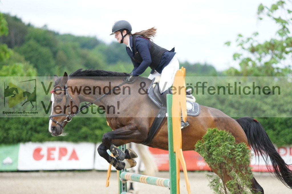 DSC07647 | equestrian-live-com