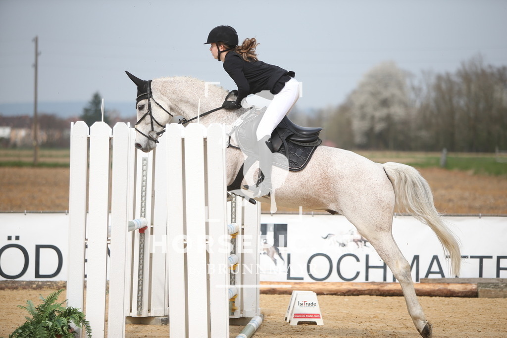 PP018239 | Willkommen bei Brunnmayr - Design & Fotografie – Ihrem Spezialisten für Reitturniere und Pferdeveranstaltungen in Oberösterreich, Salzburg und Bayern! Seit über 17 Jahren sind wir leidenschaftlich dabei.