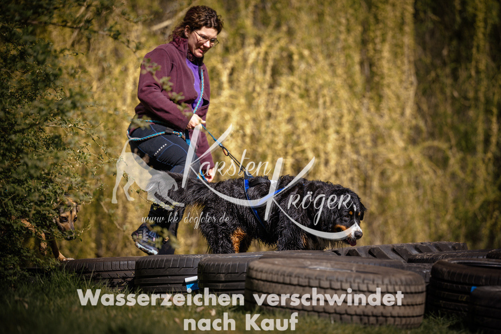 1041_ZZ98672 | kk-dogfotos