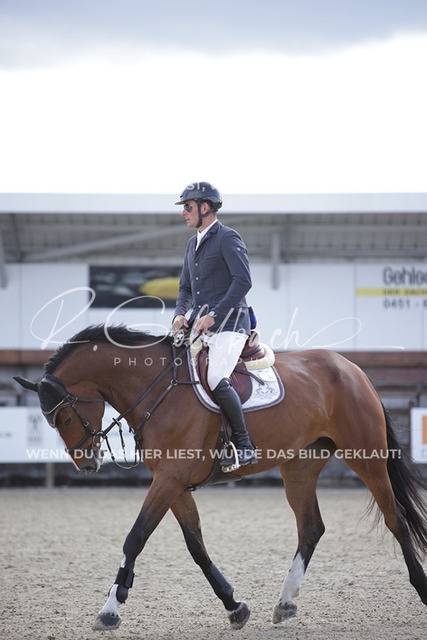 1J2A6110Andreas Erni_ D_Olympic L.A. Z_ Kn349_ Havekost | Foto- und Videografie für alles rund ums Pferd. Hochwertige Bilder und Videos vom Spring- und Dressurreiten, Voltigieren & mehr. Jetzt aktuelle Veranstaltungen und Preise im Shop ansehen. - Realisiert mit Pictrs.com