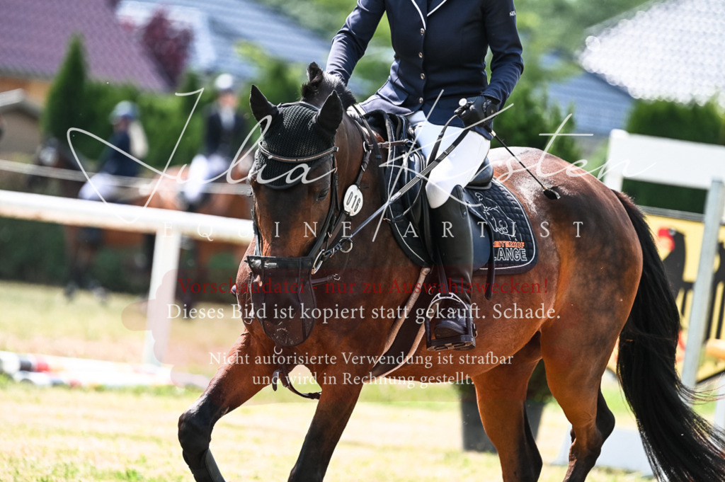 DSC_8875 | Pferde- und Turnierfotografie in Westsachsen. Pferdeportraits, Auftragszeichnungen und intuitive Kunst.