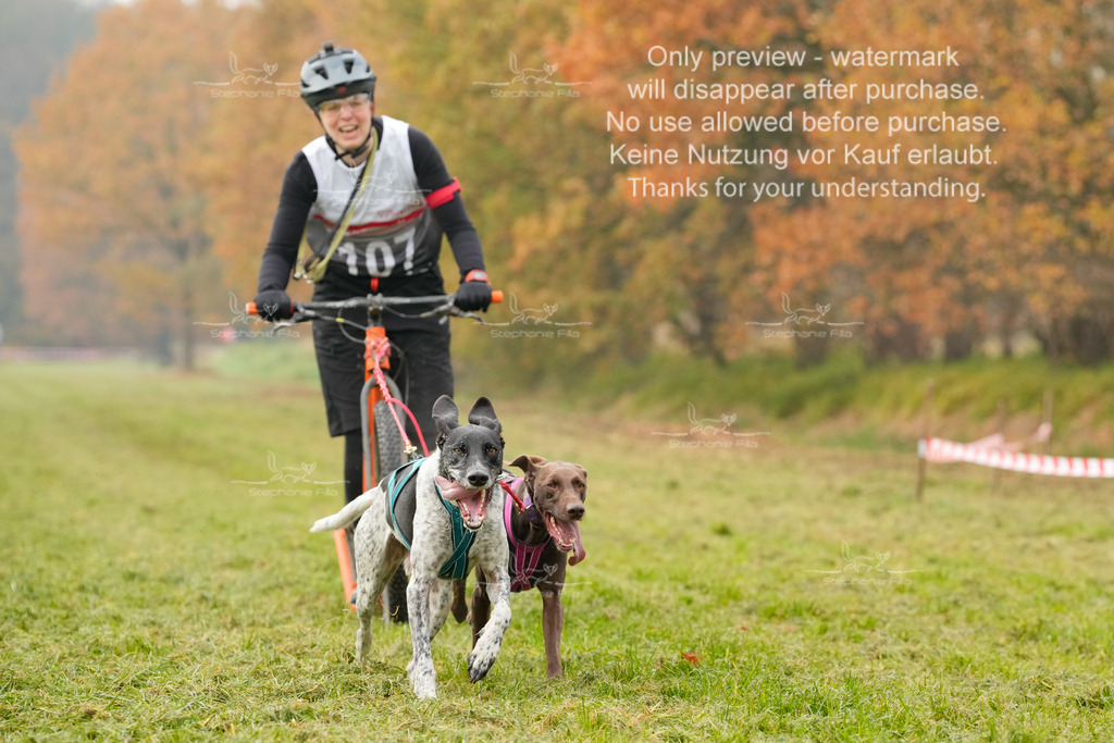 Visbeck_Sa_DS2DR2-62 | stephaniefillaphotographie - Realisiert mit Pictrs.com