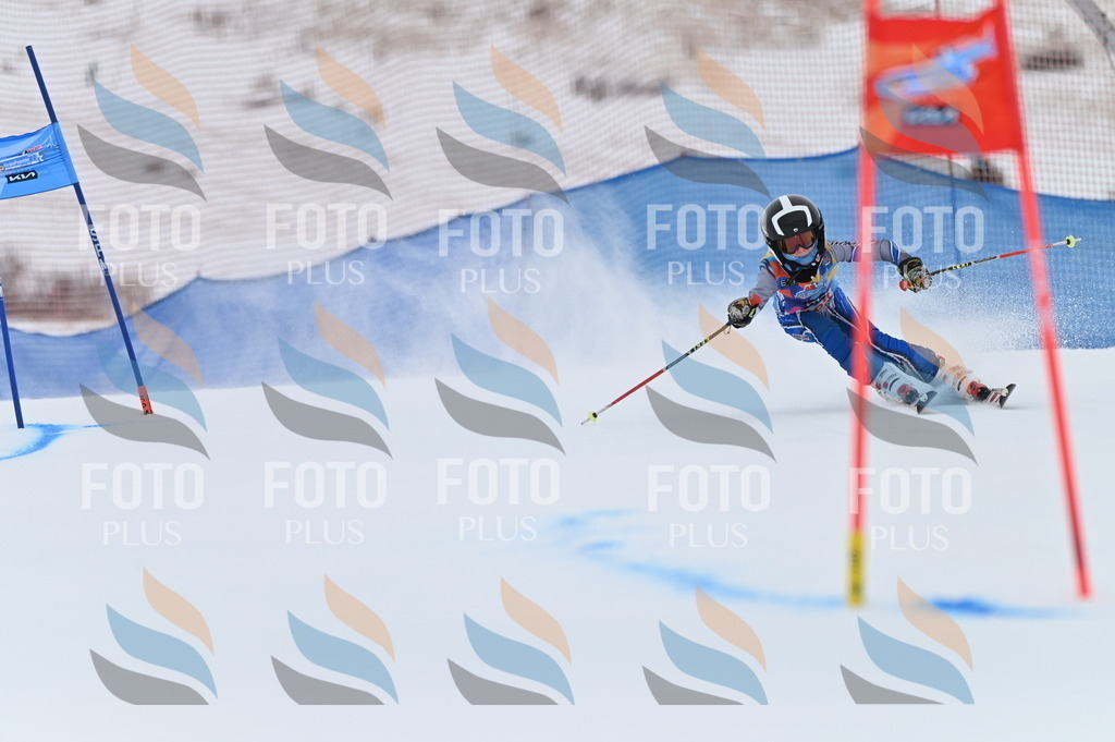 BGV_1836 | holidayphoto