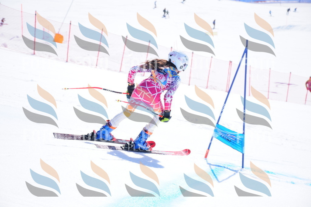 DSC_4496 | holidayphoto