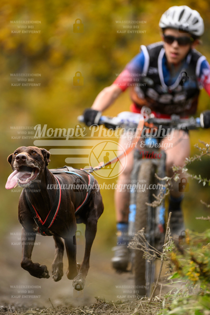 MompixPhotography_ICF_WC_2024_SA_Bike_-380 | PayLife