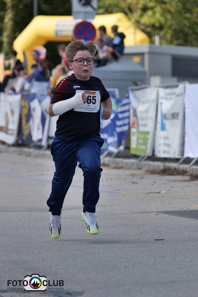 D (494) | Foto Buchgraber