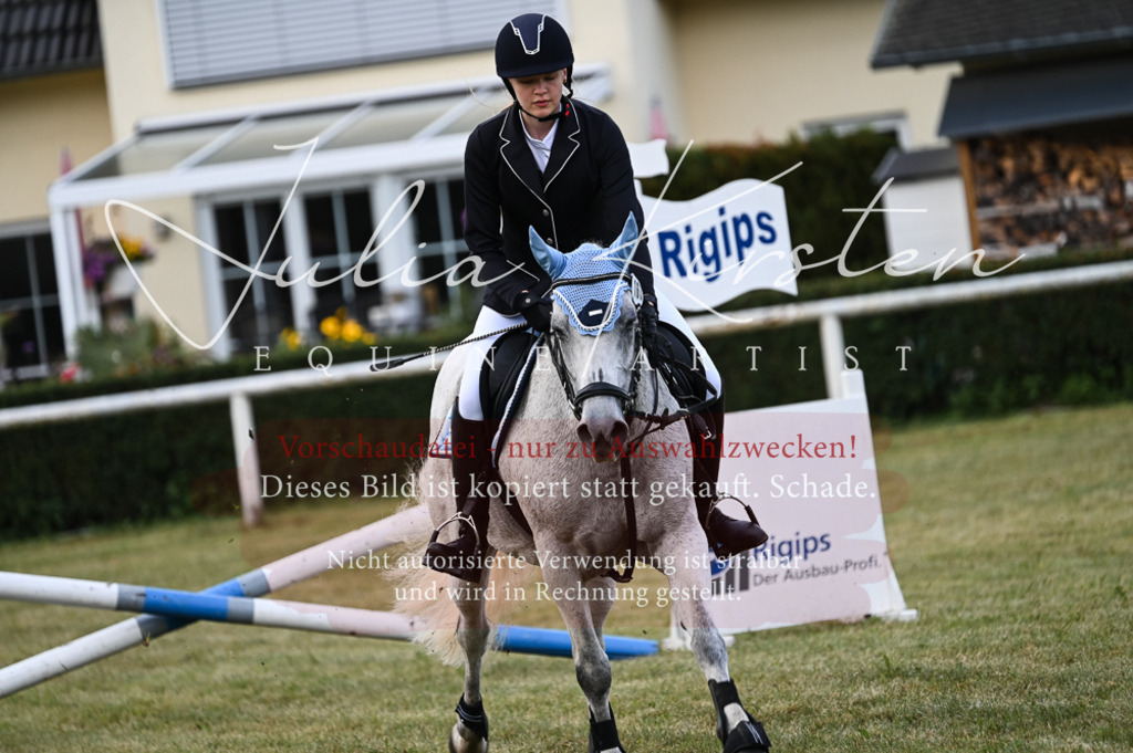 DSC_5536-2 | Pferde- und Turnierfotografie in Westsachsen. Pferdeportraits, Auftragszeichnungen und intuitive Kunst.