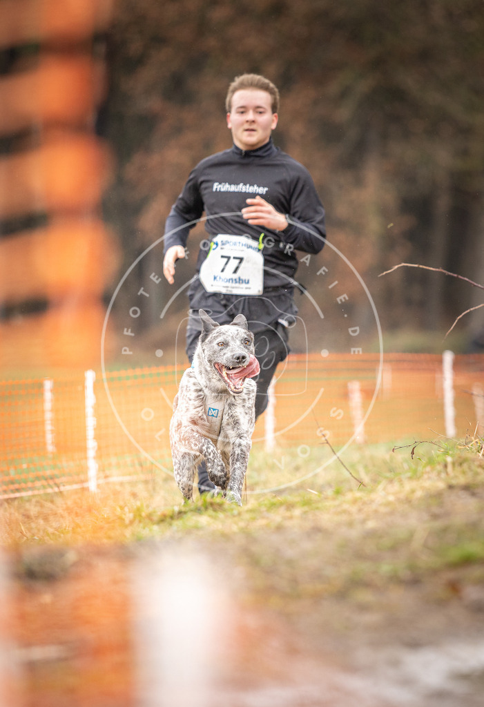 DV3A0275 | Hundefotografie, Tierfotograf, Pfotenfotografie, Fotoshooting Hund, Hunde Portrait, Hundesport, Hundeportraits, Heideshooting, Hunde, Sportfotograf, Hundefotograf, Turnierhundsport, THS,  - Realisiert mit Pictrs.com