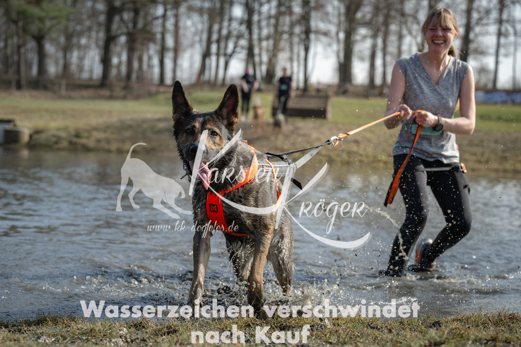 1316_ZZ95606 | kk-dogfotos