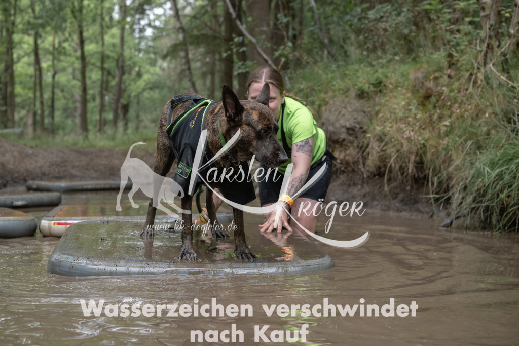 1339_ZZ95282 | kk-dogfotos