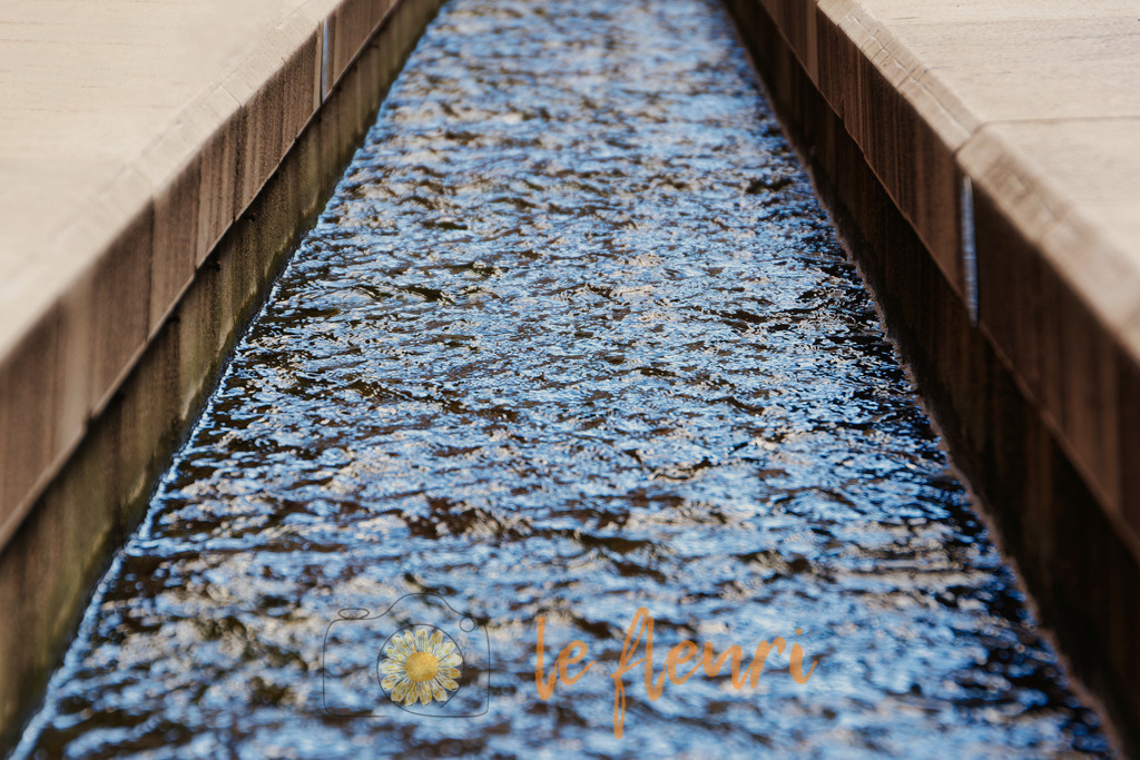 DSC_0039-NEF_DxO_DeepPRIME (1) | Dies ist der Shop von Florian Blum - le fleuri. Langenthal, Bern, SchweizSie können hier meine oder ihre eigenen Fotos als Fotoprodukte kaufen. Tassen, Schlüsselanhänger, Taschen etc. können Sie hier gestalten.  - Realisiert mit Pictrs.com