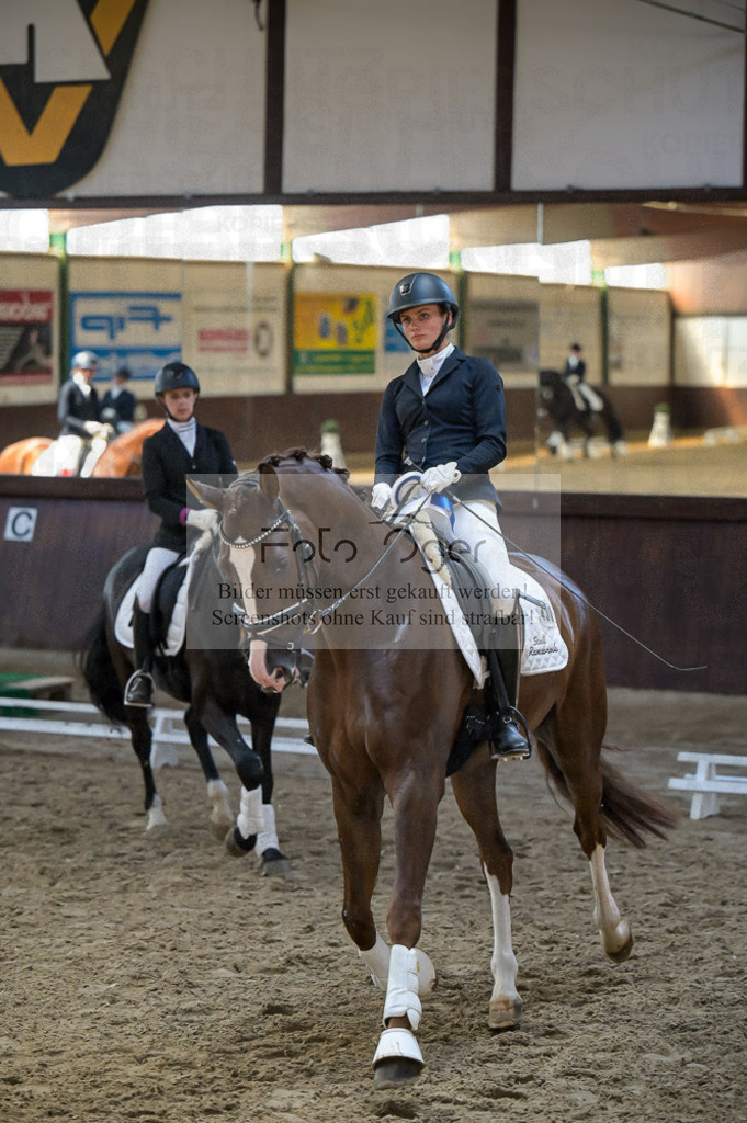 Reitturnier Voxtrup | Entdecke hochwertige Reitturnierfotos von Foto Oger. Professionell, emotional und authentisch – jetzt Lieblingsmomente im Shop bestellen.Deutschlandweite Turnierfotografie. - Realized with Pictrs.com