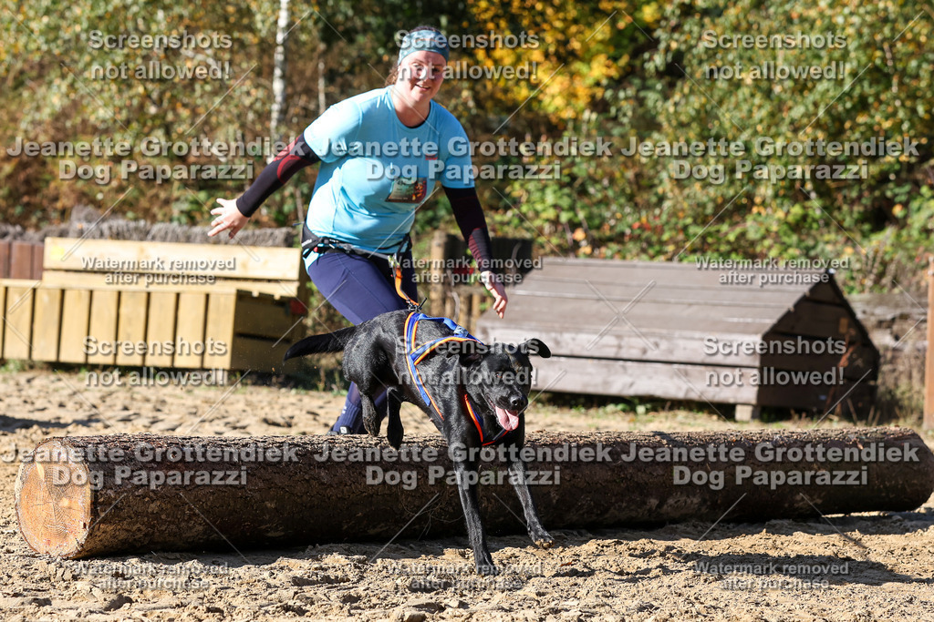 Dog Paparazzi - Strongdog 10-25-2924 | Dog Paparazzi Jeanette Grottendiek Fotografie & Videografie - Realisiert mit Pictrs.com