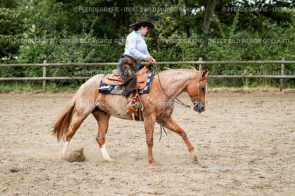 DSC02860 | Pferdegrafie