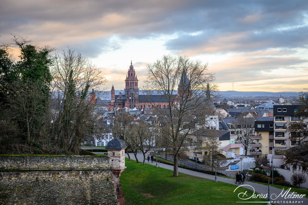 Der Hohe Dom St. Martin zu Mainz | Der Hohe Dom St. Martin zu Mainz