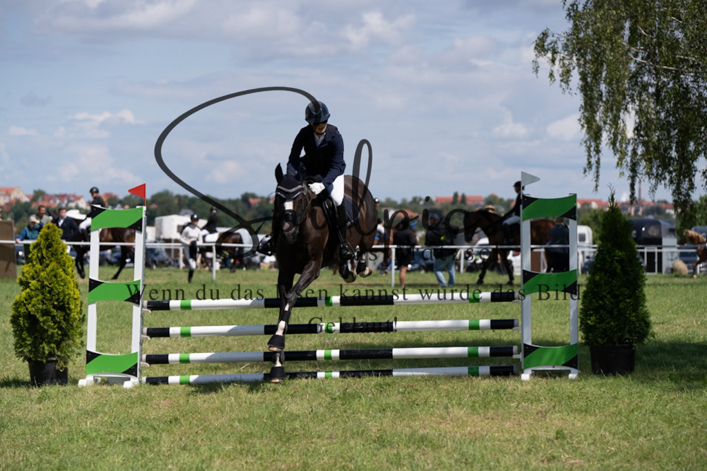 A7V04295 | Pferdefotograf