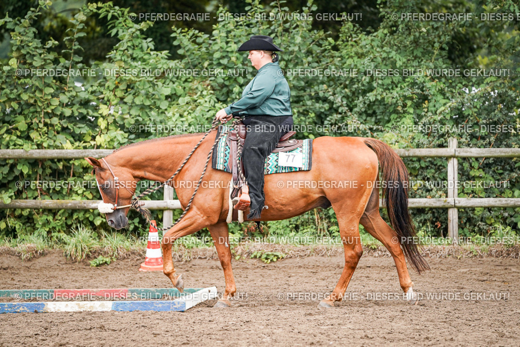 DSC02818 | Pferdegrafie