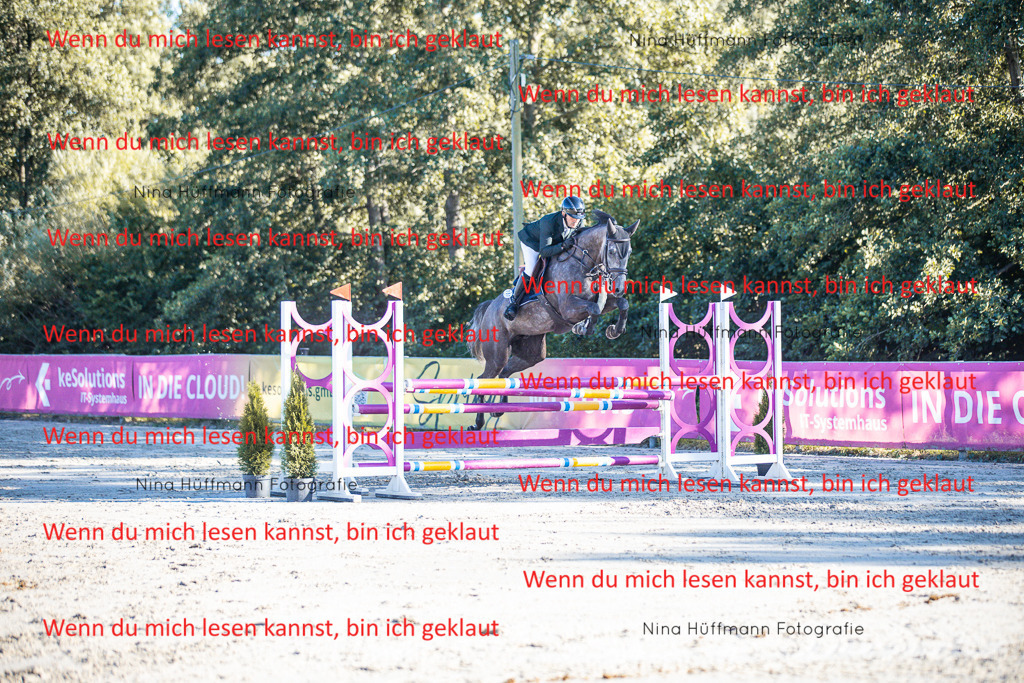 BK1A6151 | Turnierbilder Turnierfotos Nina Hüffmann Turnierfotografie Pferdefotografie Tierzeichnung Haustierzeichnung Pferdezeichnung Hundezeichnung Videograf  - Realisiert mit Pictrs.com