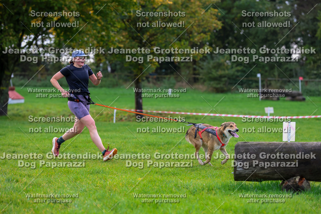Dog Paparazzi -  SD1026-2247 | Dog Paparazzi Jeanette Grottendiek Fotografie & Videografie - Realisiert mit Pictrs.com