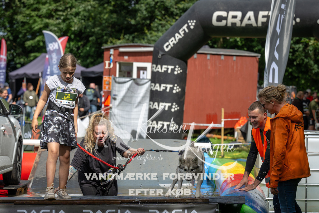 1439_ZZ91746 | kk-dogfotos