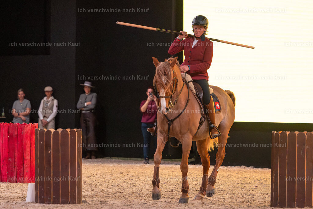 JoseraCup-79 | working equitationturnier fotograf videograf stoibphotography marixx film working equitation deutschland reitsport turnierfotografie eventfotografie equestrian events