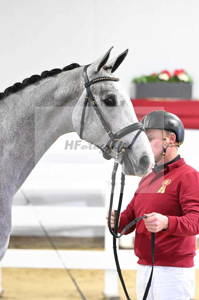 Kat-Nr. 46 v. Clarimo_Hahn u Schleicher_63221119 | hf-fotografie - Realisiert mit Pictrs.com