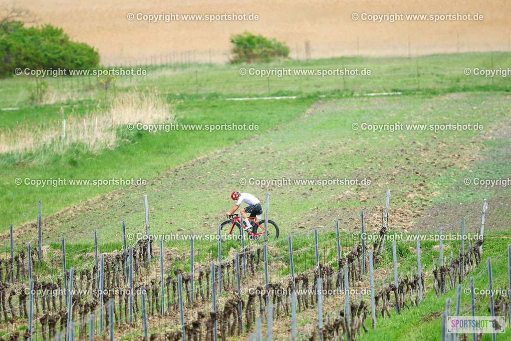 409_TRA57570 | Neusiedlersee Radmarathon 2026@sportshot_your_pictrs #yourpictures#roadtowm2029 #nrm #neusiedlerseeradmarathon #neusiedlersee #neusiedlerseetourismus #burgenland #mörbisch #nrm26 #burgenlandtourismus #voglundco #poweredbyburgenlandtourismus #radsport #rad #marathon #ucigranfondo #visitburgenland #ucigranfondoworldseries