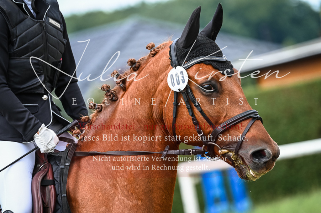DSC_8188 | Pferde- und Turnierfotografie in Westsachsen. Pferdeportraits, Auftragszeichnungen und intuitive Kunst.