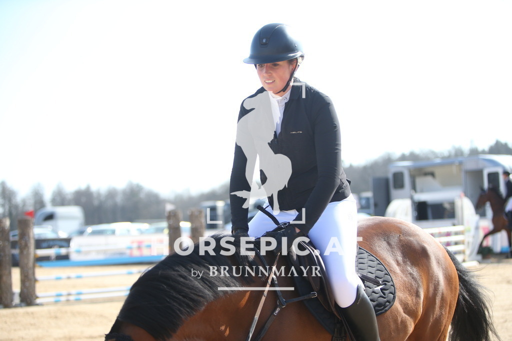 AS8V5587 | Willkommen bei Brunnmayr - Design & Fotografie – Ihrem Spezialisten für Reitturniere und Pferdeveranstaltungen in Oberösterreich, Salzburg und Bayern! Seit über 17 Jahren sind wir leidenschaftlich dabei.