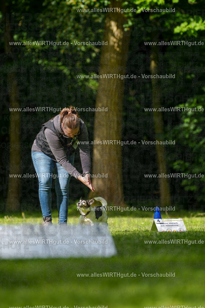 @allesWIRTHgut_Tierfotografie - www.allesWIRTHgut.de - 083021-7R506248 | Professionelle Tierfotografie in Mönchengladbach von Daniel Wirth (allesWIRTHgut). Liebevolle & natürliche Bilder von Hunden & Katzen für unvergessliche Erinnerungen.