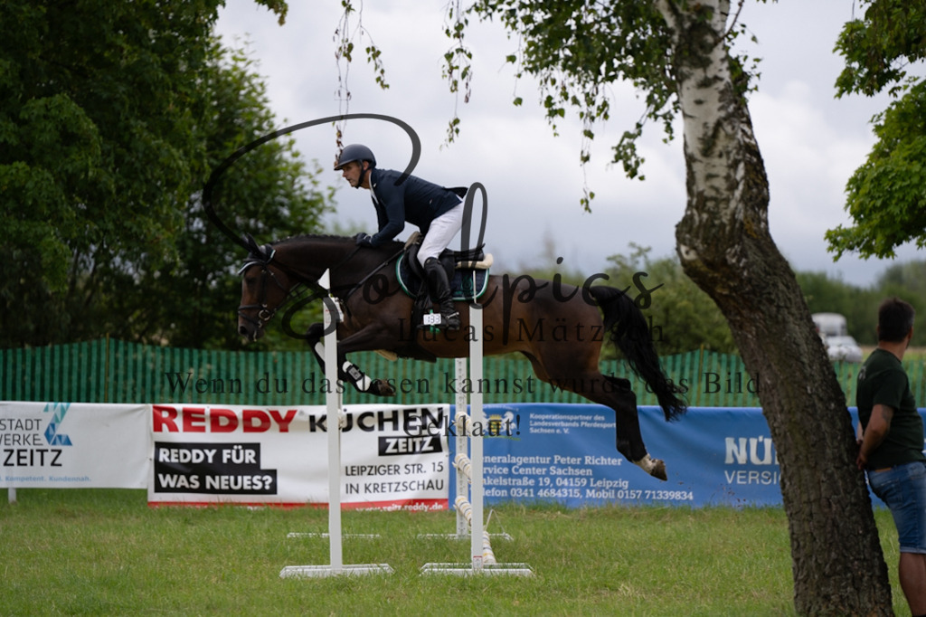 A7V03937 | Pferdefotograf